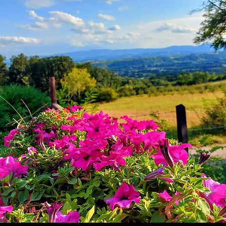 Kuca Za Uzivanje Valjevo Exterior foto